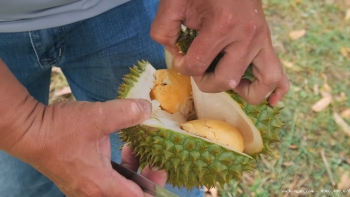 9 loại quả không nên cúng trên bàn thờ