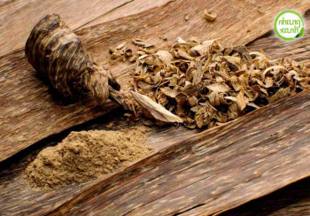 Các Sản Phẩm Đặc Sắc Từ Cây Gió Bầu