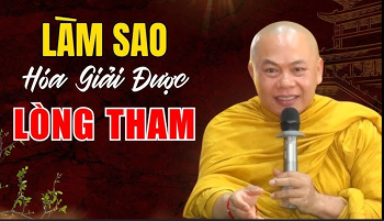 Tham, sân, si là gì ? Cách hóa giải tham, sân, si