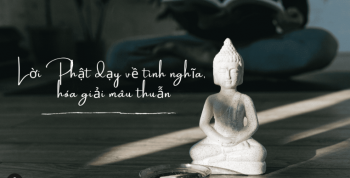 Những Lời Phật Dạy Sâu Sắc Về Nhân Duyên