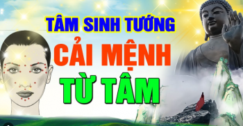 Hữu tướng vô tâm tướng tùy tâm diệt – 36 loại tâm tướng giúp bạn tích đức và nhận phúc báo