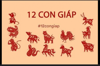Khái niệm 12 Con Giáp và Nguồn gốc của 12 Con Giáp