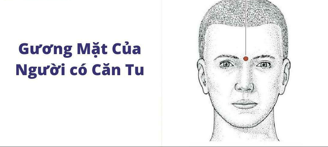 Có căn có quả nhưng hậu càng khổ