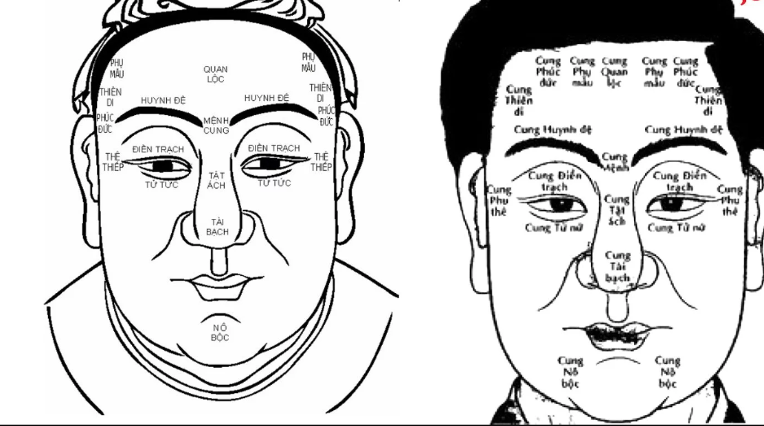 Miệng và Lưỡi Những Tấm Gương Phản Chiếu Tâm Hồn