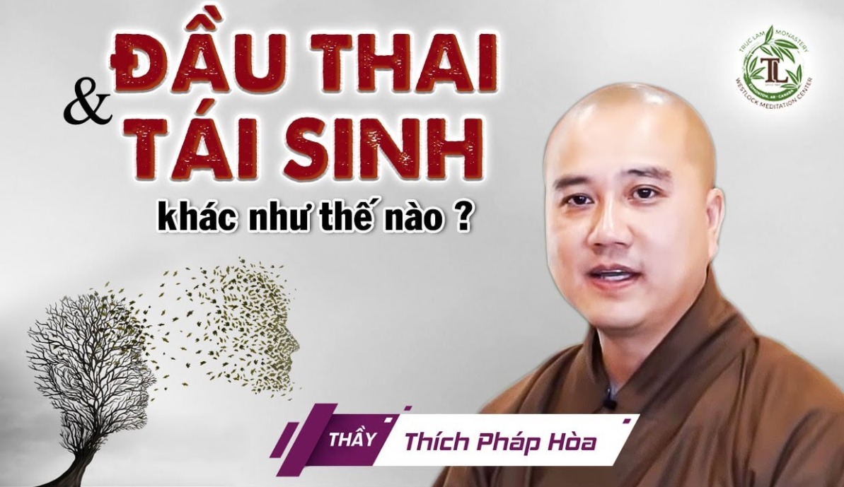 Những Nghiên Cứu Quốc Tế và Cái Nhìn Mở Rộng Về Tái Sinh và Đầu Thai